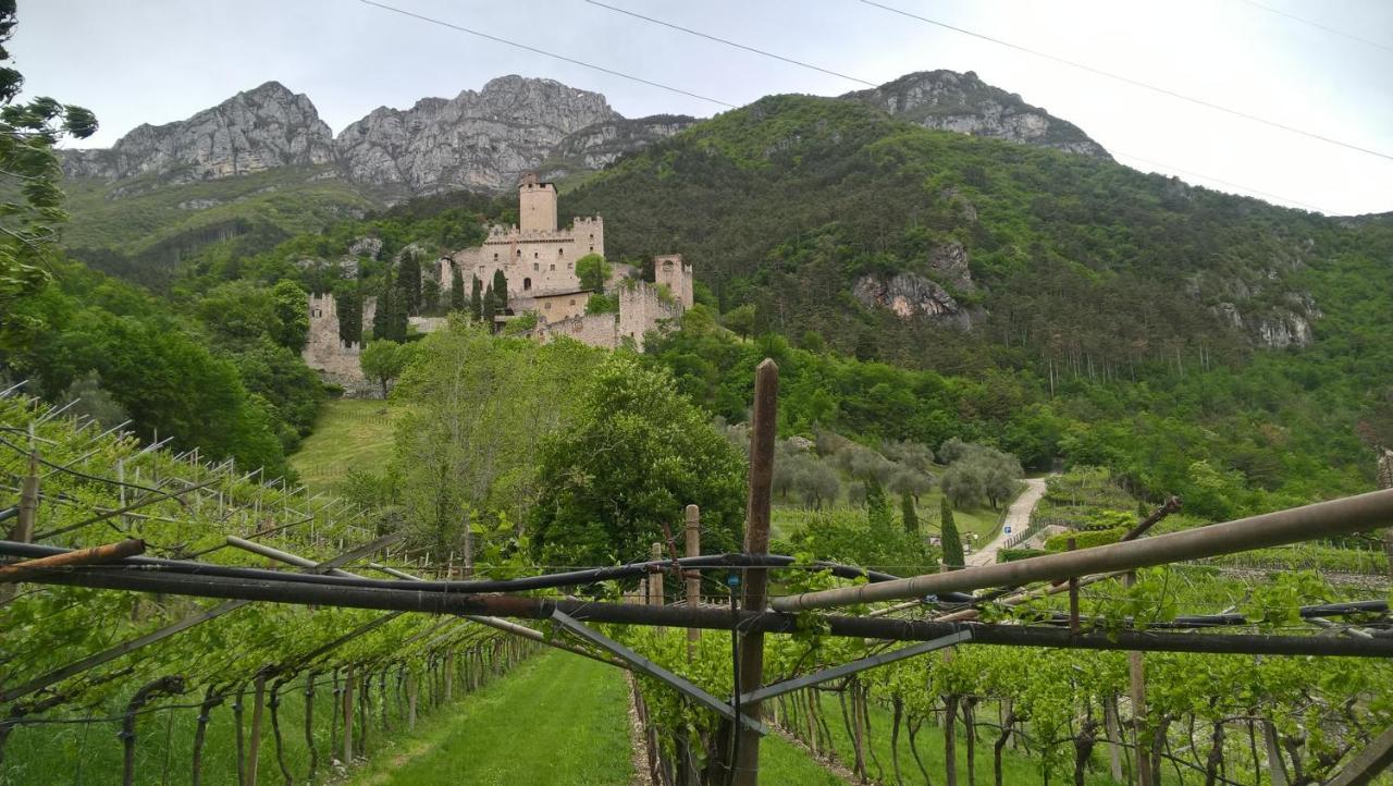 Appartamenti Camere Masi Brenta Rovereto  Buitenkant foto