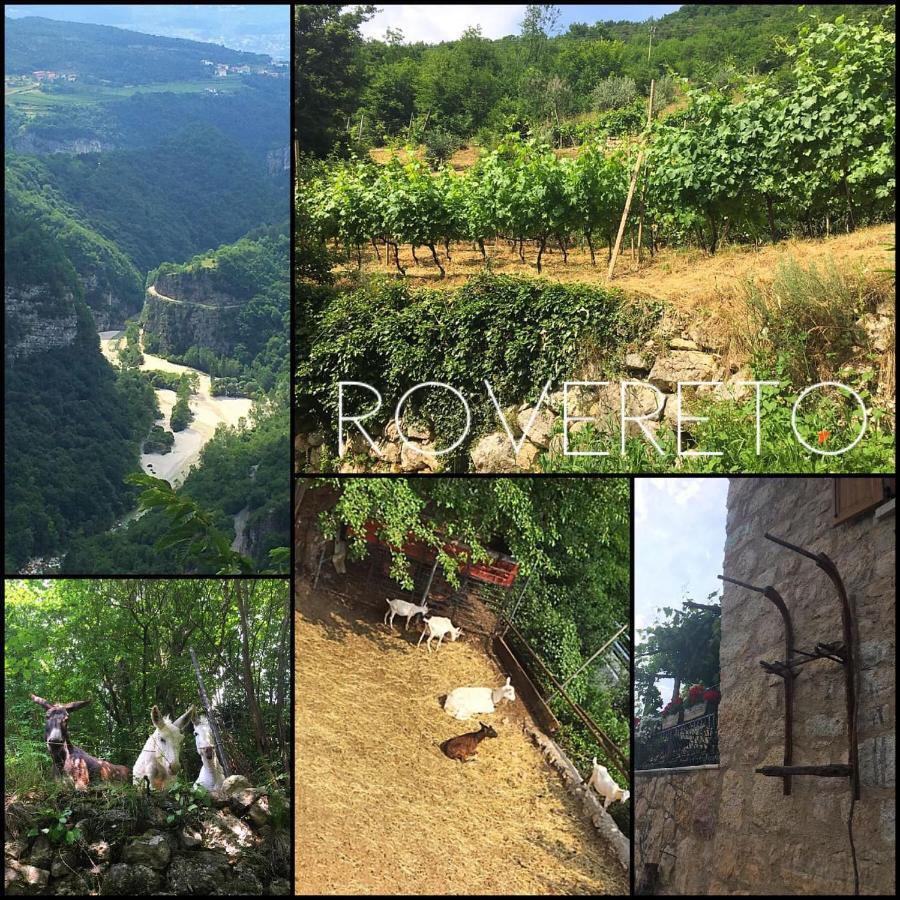 Appartamenti Camere Masi Brenta Rovereto  Buitenkant foto